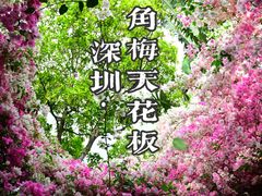-深圳国际园林花卉博览园