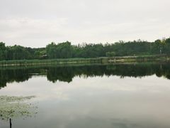 -北坞公园