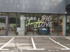 -上海普陀宝诚MINI4S店(红柳路店)