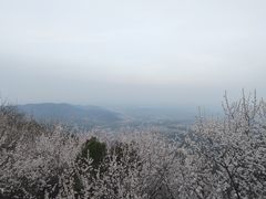 -香山公园