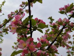 -洨河生态公园