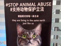 -瑞派雷欧宠物医院·中兽医·眼科·急重症转诊中心(黄台店)