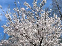 -北海金海湾红树林生态旅游区