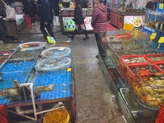 -船奇蒸汽海鲜·闽菜(八市海鲜总店)