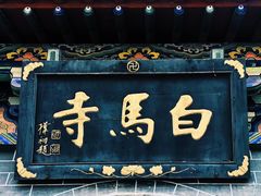 -洛阳白马寺