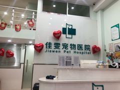 -美美宠物诊疗中心·异宠·骨科(滨江东信分院)