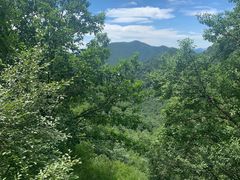 -灵山