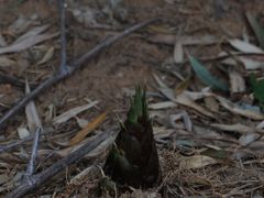 -敬亭山风景名胜区