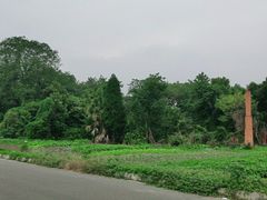 -两河城市森林公园