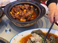 -红果树(江光店)
