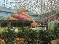 -花之城