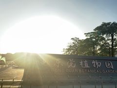 -东莞植物园