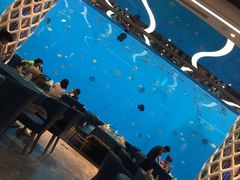 -瑞德姆美人鱼海底演艺主题餐厅(亚龙湾店)