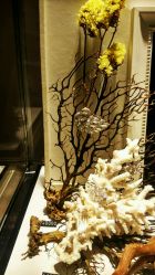 -北京七彩云南翡翠珠宝旗舰店(月坛店)