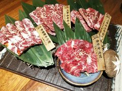 -肉魁屋·烧肉·烧鸟·酒场(高新店)