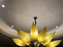 -雅味苑老菜馆(新体育馆店)