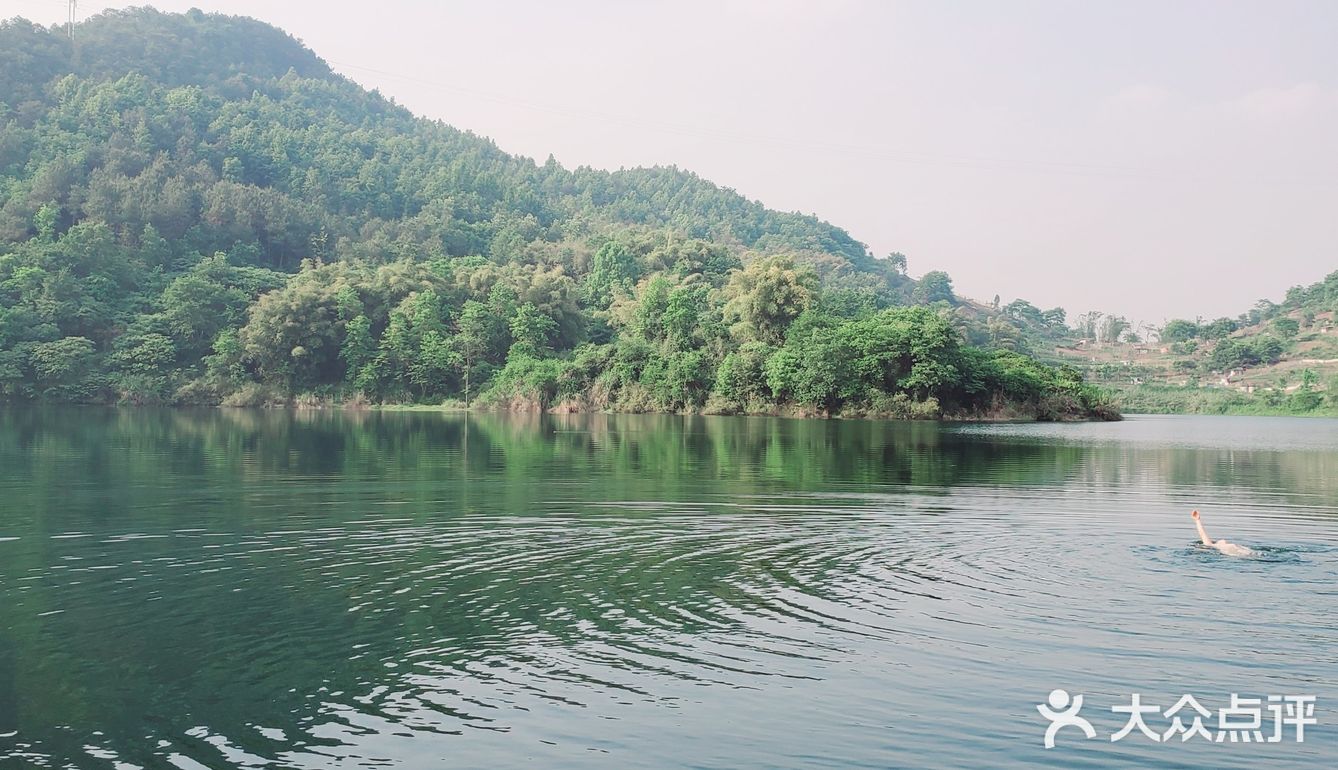 杨家沟水库