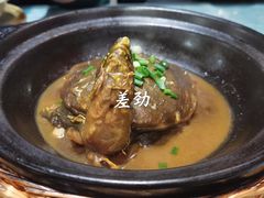 -老家信阳菜(北京路店)