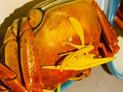 -徐记海鲜(大明宫|北二环店)
