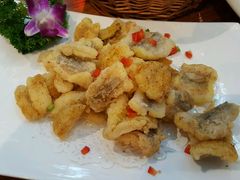 -森谷美食公园(杨行店)