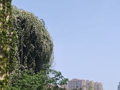 -成都当代影像馆
