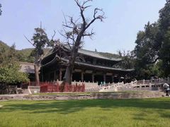 -晋祠公园