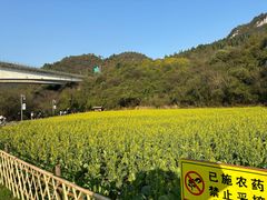 -贵阳市花溪国家城市湿地公园