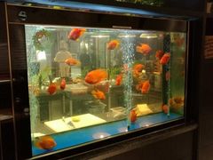 -亚马逊海鲜自助餐厅(惠山万达店)