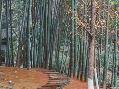 -岳麓书院