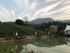 -帐篷客·溪龙茶谷度假酒店