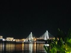 -万绿园