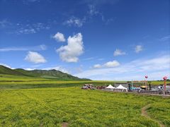 -扁都口生态休闲旅游区