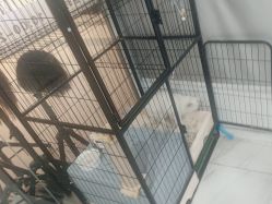 -镁连社·美联社
