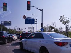 -上海滨江森林公园
