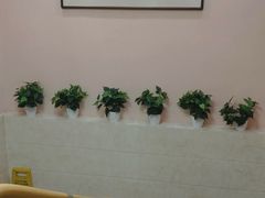 -动物缘宠物医院·骨科·猫科(西二环店)