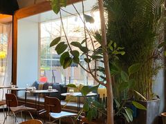 靠窗位-the rug 飞毯 (朝阳公园店)