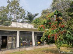 -中国科学院西双版纳热带植物园