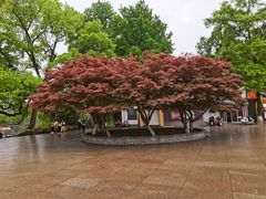 -食膳公园包子铺(烈士公园店)