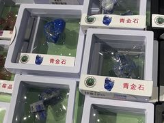 -辽宁古生物博物馆