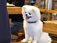 -重庆印象老火锅(梅林店)