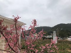 -玫瑰海岸文化旅游度假区