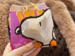 -史努比缤纷世界