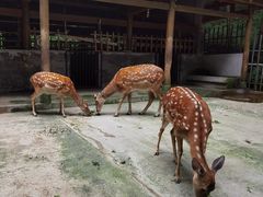 -太阳湾风景区