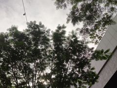 -深圳湾万象城(南山店)