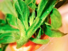 DSC_0451副本-广交会威斯汀酒店