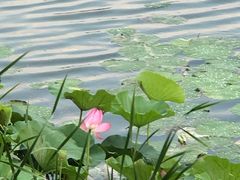 -颐润堂专业养生(五道口华清商务会馆店)