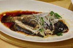 -上海外高桥喜来登酒店·宴会厅