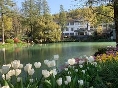 -杭州花家山庄