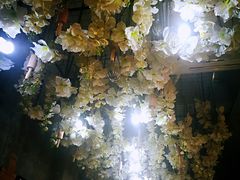 -洛佩塔蛋糕