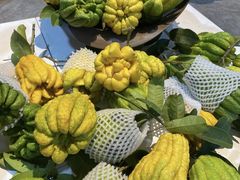 -三圣花乡旅游区